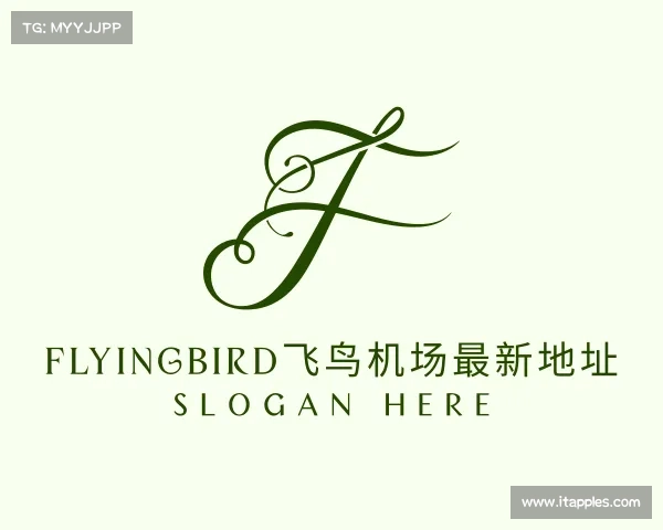 介绍flyingbird飞鸟机场最新地址